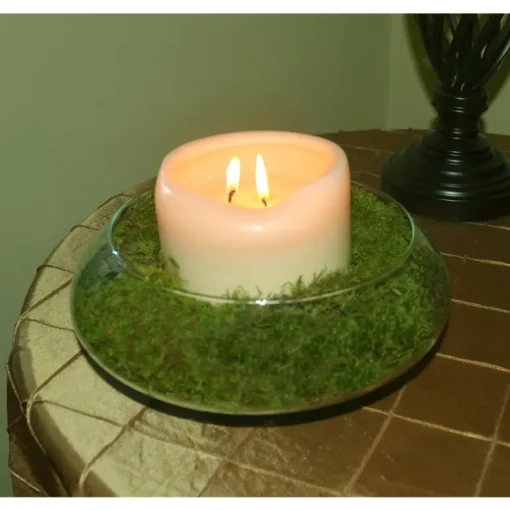 Mosser Lee Organic Green Sheet Moss 325 sq in
