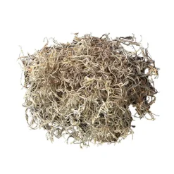 Mosser Lee Organic Spanish Moss 250 cu in (Pack of 8).