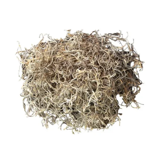 Mosser Lee Organic Spanish Moss 250 cu in (Pack of 8).