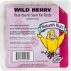 Natures Nuts 00162 11.5 Oz Wild Berry Suet (Pack of 12)
