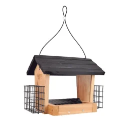 Nature's Way Wild Bird and Finch 3 qt Cedar Hopper Bird Feeder 2 ports