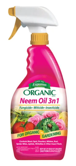 NEEM OIL ORGNC 24OZ