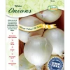 Ns #1 White Ebenezer (Pack of 10)