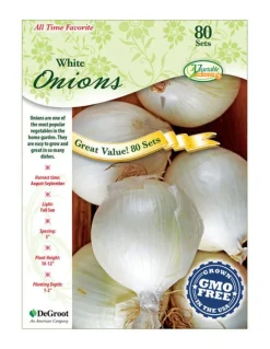 Ns #1 White Ebenezer (Pack of 10)