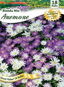 Ns Anemone Blanda West