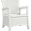 NS CLUB CHAIR W/STRG WHT