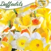 Ns Daffoldil Mix West
