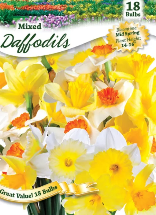 Ns Daffoldil Mix West