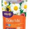 Ns Daisy Cut Flowers (Pack of 6)