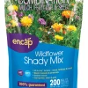 Ns Shady Wildflowers (Pack of 6)