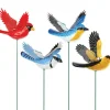 Ns Song Bird Stke 7" Ww (Pack of 24)