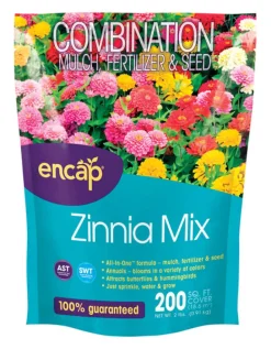Ns Zinnia Flowers (Pack of 6)