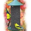 Nyjer Thistle Magnum Feeder, 3/4-Lb.