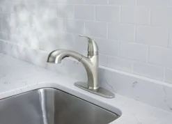 OakBrook Washerless Cartridge One Handle Nickel Kitchen Faucet
