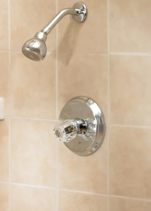 OakBrook 1-Handle Chrome Shower Faucet