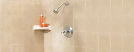 OakBrook 1-Handle Chrome Shower Faucet