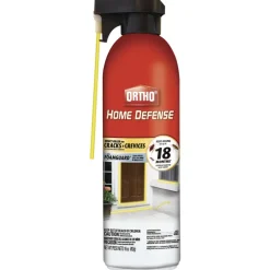 Ortho Home Defense Foam Insect Killer 16 oz. for Cracks & Crevices