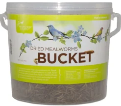Pacific Bird & Supply Co Inc Pb-0045 28 Oz Dried Mealworm