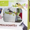 Pacific Bird & Supply Co Inc Pb-0066 Mealworm 3 Piece Kit