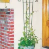 Panacea 48 in. H Black Steel Trellis