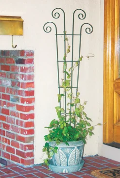Panacea 48 in. H Black Steel Trellis
