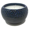 Patio Essentials 5 Wick Citronella Candle Solid For Flying Insects 50 oz