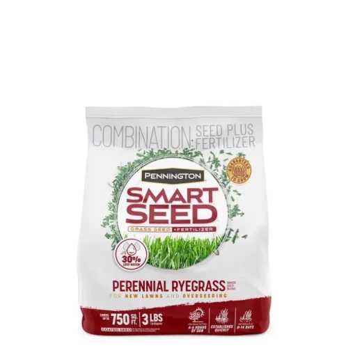 Pennington Perennial Ryegrass Smart Seed, 3 lbs.
