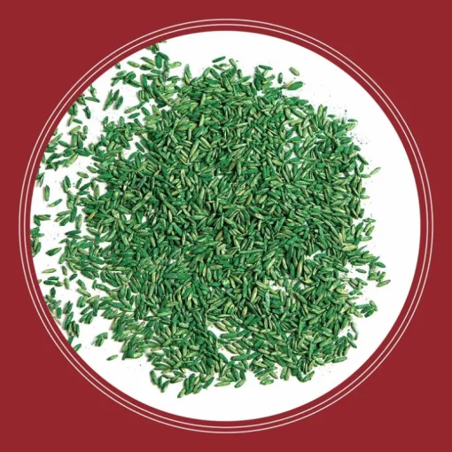 Pennington Perennial Ryegrass Smart Seed, 3 lbs.