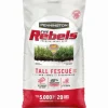 Pennington The Rebels Tall Fescue Grass Sun or Shade Grass Seed 20 lb