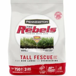 Pennington The Rebels Tall Fescue Grass Sun or Shade Grass Seed 3 lb