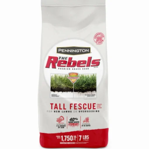 Pennington The Rebels Tall Fescue Sun/Shade Grass Seed 7 lbs.