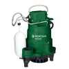 Pentair Myers 1/3 hp 2880 gph Cast Iron Submersible Sump Pump