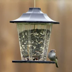 Perky Pet 310 1.5 Lb Capacity Carriage Bird Feeder (Pack of 6)