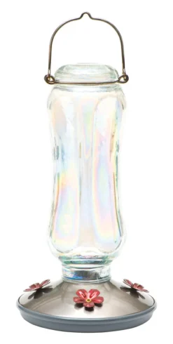 Perky-Pet Hummingbird 16 Glass Nectar Feeder 4 ports (Pack of 2)