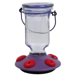 Perky-Pet Hummingbird 16 oz. Glass/Plastic Nectar Feeder 5 ports (Pack of 2)