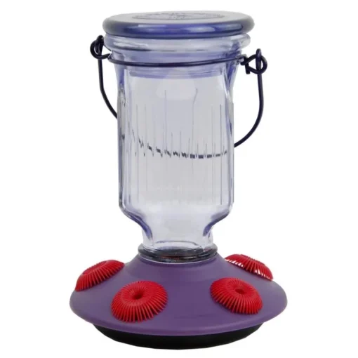 Perky-Pet Hummingbird 16 oz. Glass/Plastic Nectar Feeder 5 ports (Pack of 2)