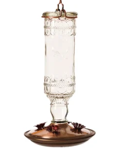Perky-Pet Hummingbird 10 oz. Glass Nectar Feeder 4 ports (Pack of 2)