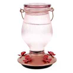 Perky-Pet Hummingbird 24 oz Glass/Plastic Nectar Feeder 5 ports (Pack of 2)