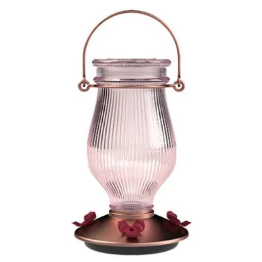 Perky-Pet Hummingbird 24 oz Glass/Plastic Nectar Feeder 5 ports (Pack of 2)