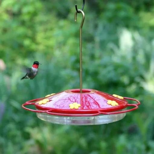 Perky-Pet Hummingbird 16 oz Plastic Dish Nectar Feeder 6 ports