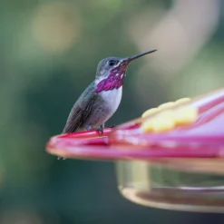 Perky-Pet Hummingbird 16 oz Plastic Dish Nectar Feeder 6 ports