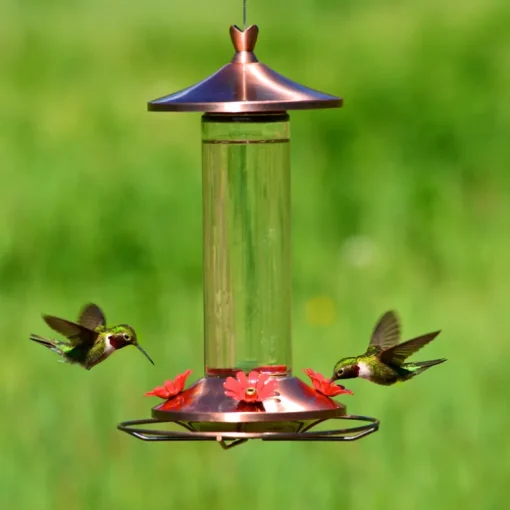 Perky-Pet Hummingbird 12 oz. Copper/Glass Nectar Feeder 4 ports
