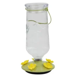 Perky-Pet Hummingbird 32 oz. Glass/Plastic Desert Bloom Nectar Feeder 5 ports (Pack of 2)