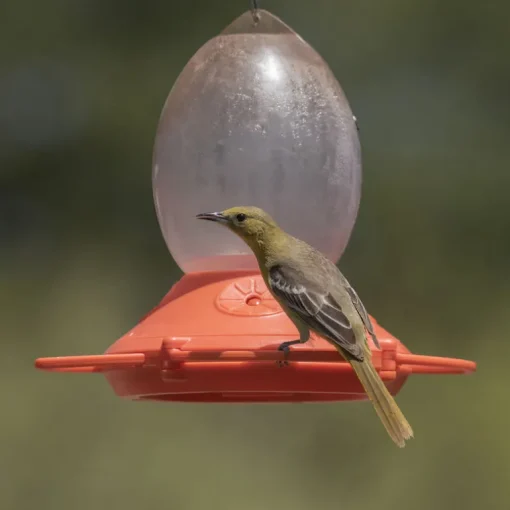 Perky-Pet Oriole 32 oz Plastic Nectar Bird Feeder 4 ports