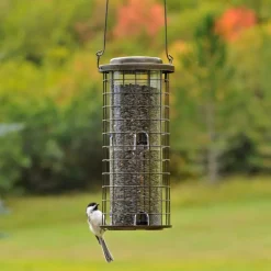 Perky-Pet Squirrel Stumper Wild Bird 3 lb Metal/Plastic Twist-Lock Lid Bird Feeder 8 ports