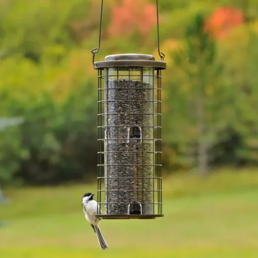 Perky-Pet Squirrel Stumper Wild Bird 3 lb Metal/Plastic Twist-Lock Lid Bird Feeder 8 ports