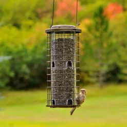 Perky-Pet Squirrel Stumper Wild Bird 3 lb Metal/Plastic Twist-Lock Lid Bird Feeder 8 ports