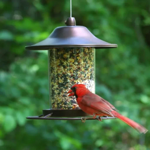 Perky-Pet Wild Bird 2 lb. Copper Bird Feeder 1 ports (Pack of 2)