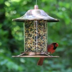 Perky-Pet Wild Bird 2 lb. Copper Bird Feeder 1 ports (Pack of 2)