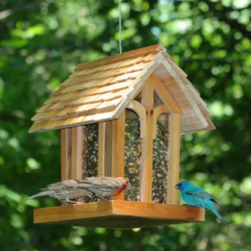 Perky-Pet Wild Bird 3.5 lb Wood Mountain Chapel Bird Feeder 1 ports